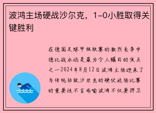 波鸿主场硬战沙尔克，1-0小胜取得关键胜利